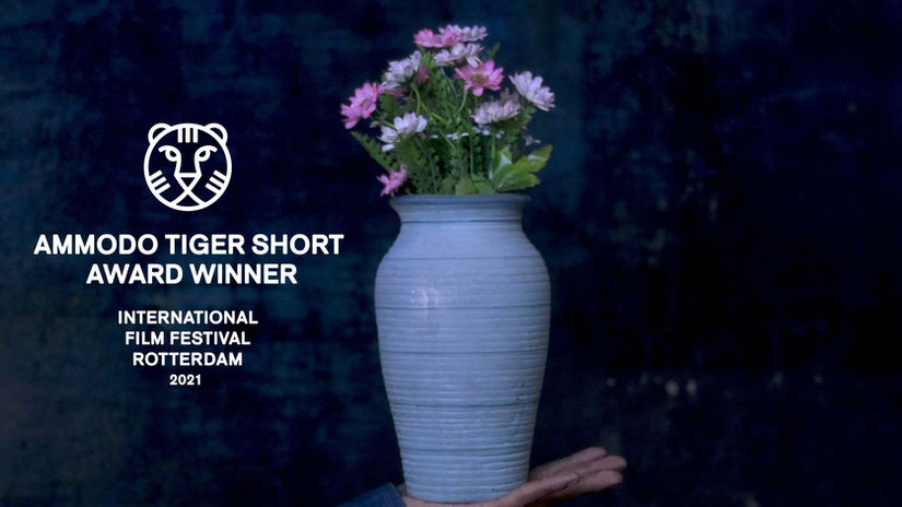 Sunsets, everyday, 2020. (excerpt)